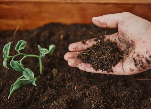 Soil Testing